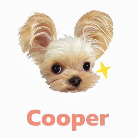 Cooper的那些小心思