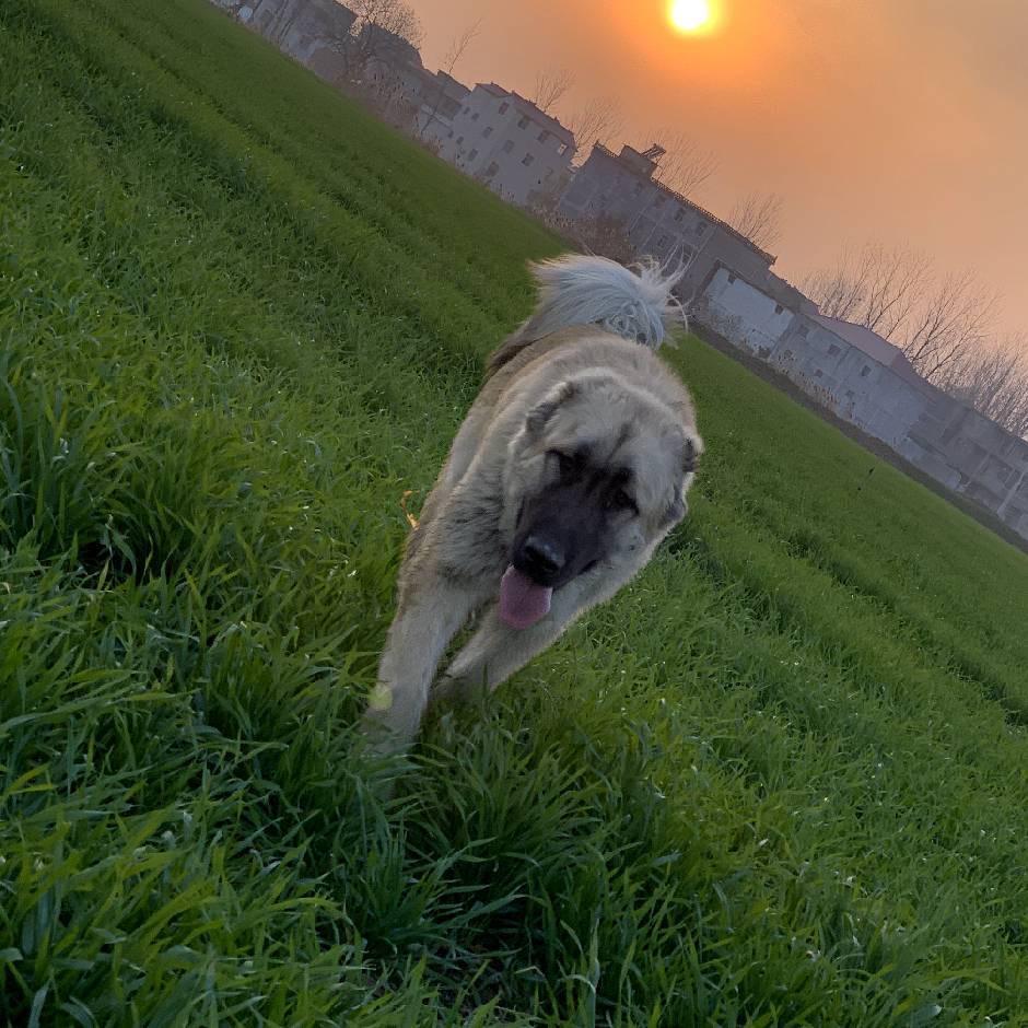 心态
