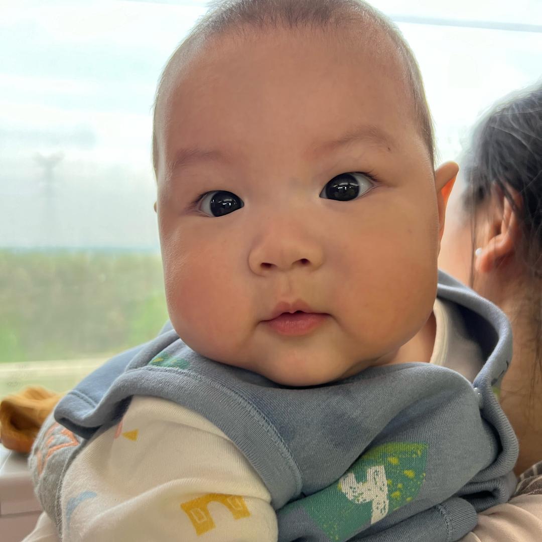 加油小贝尔