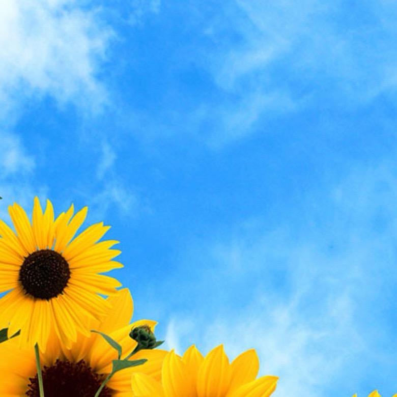 用户76435799865433