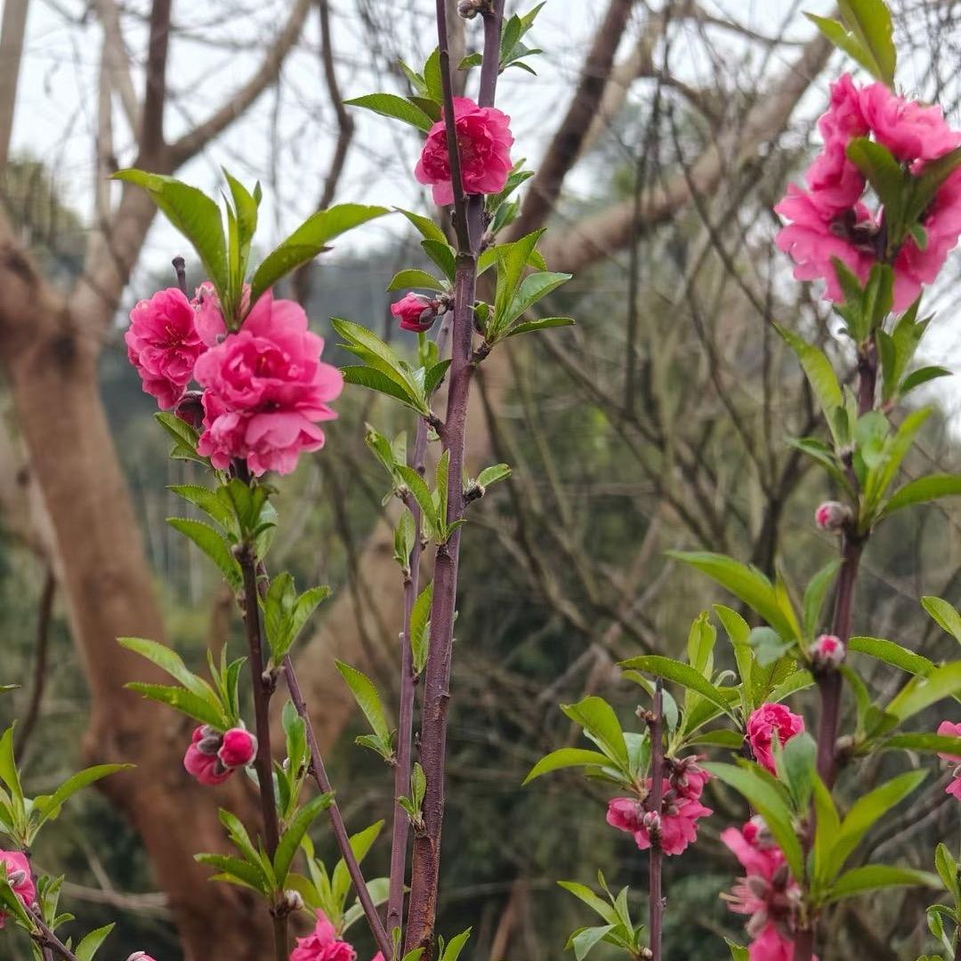 一起戒色养生