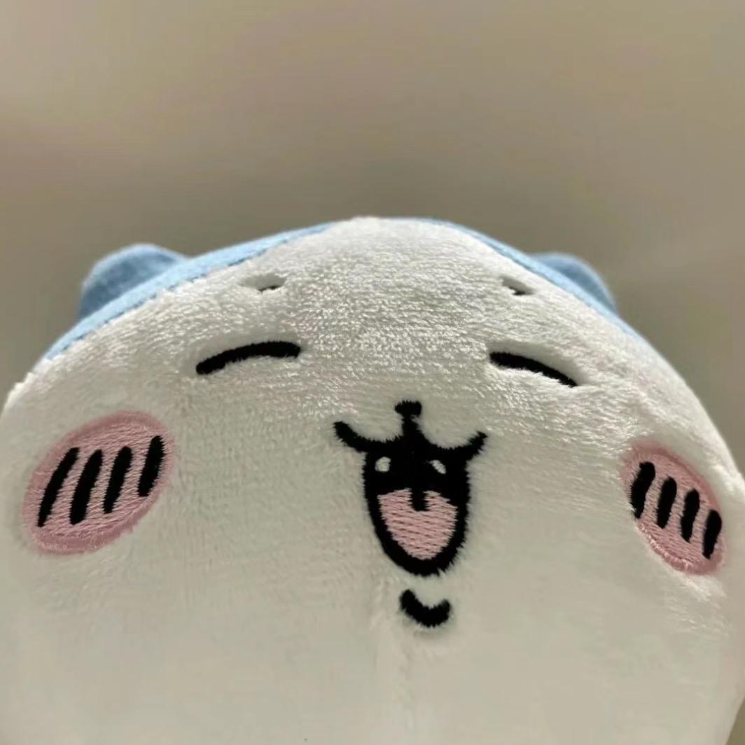 呆胶布