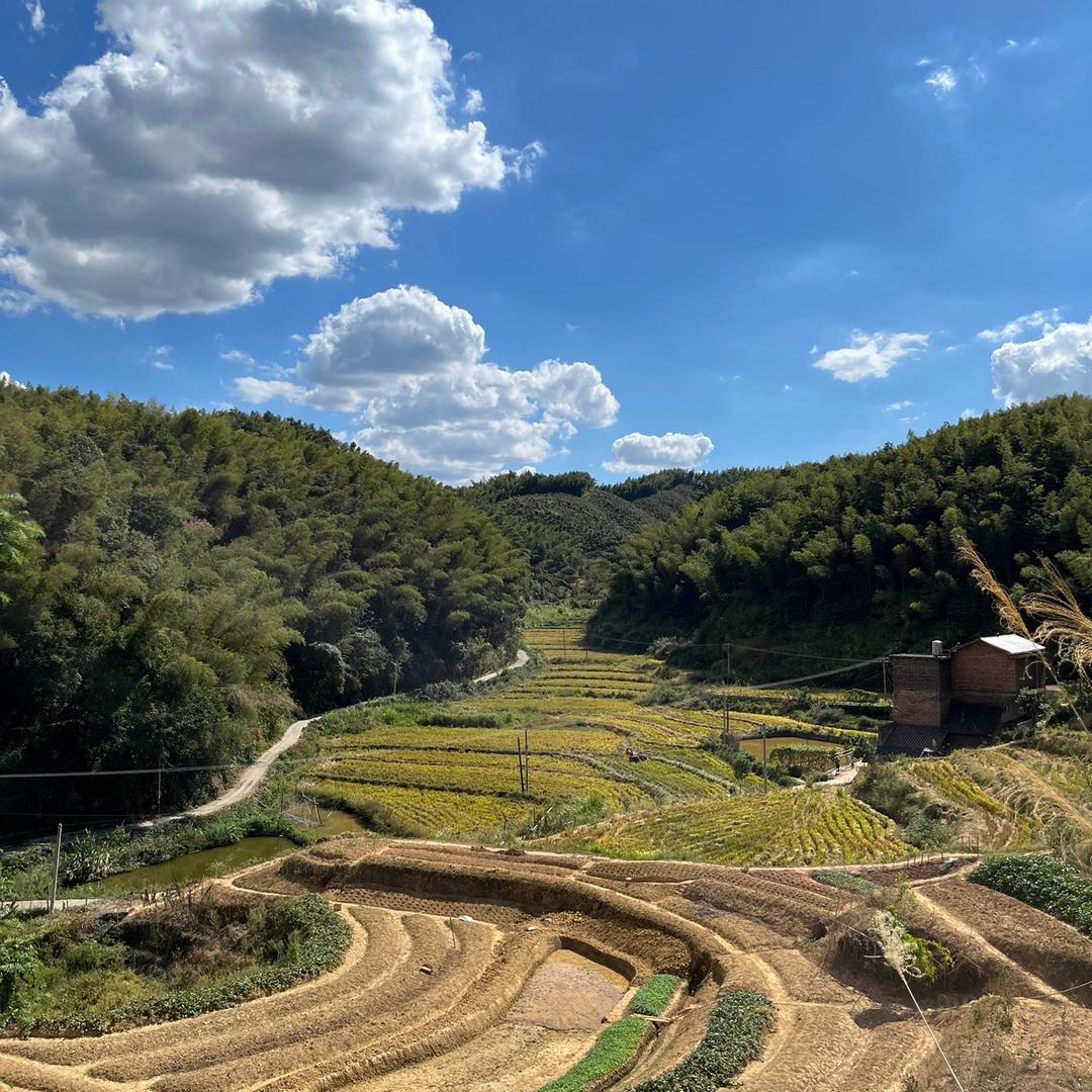 国云电脑网络_屈佩