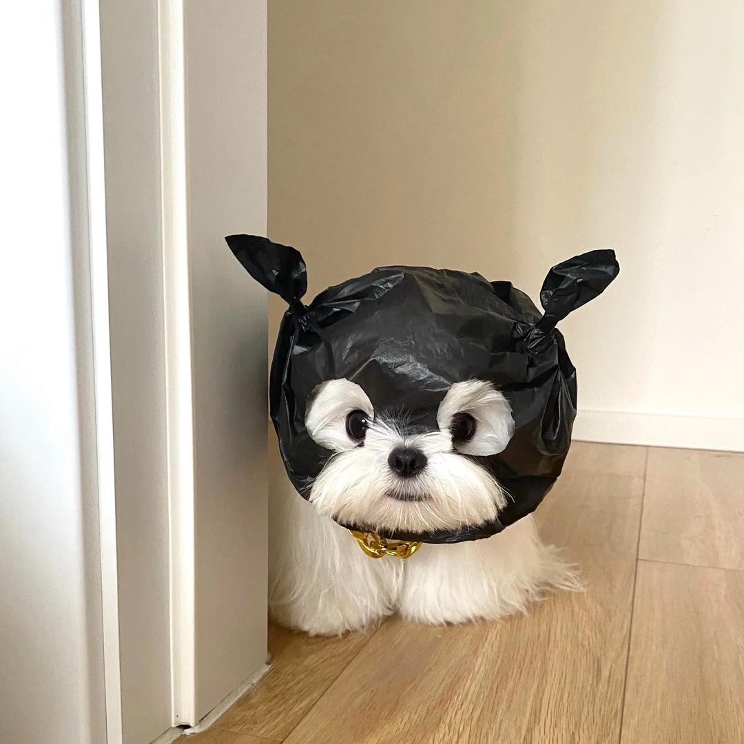 see you tomorrow🎈