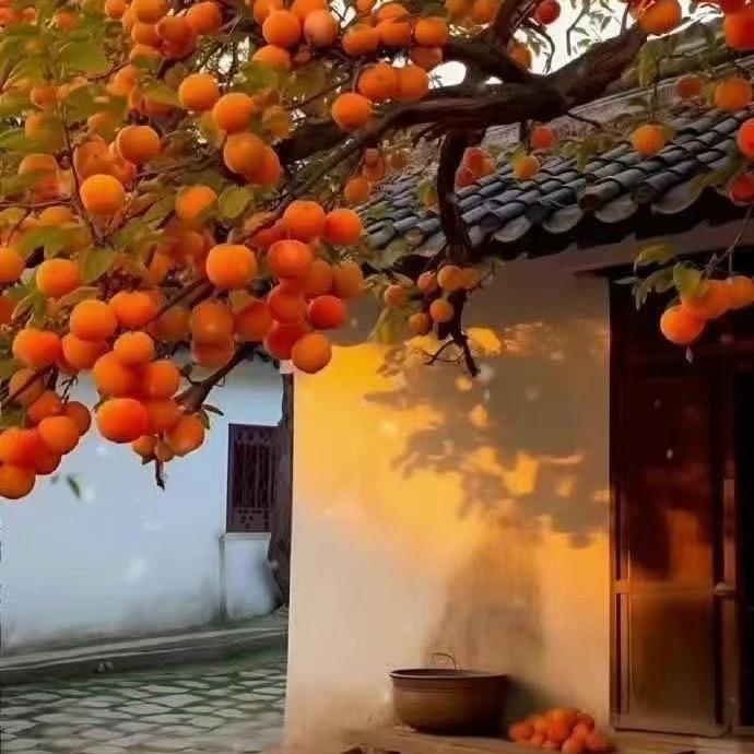开心快乐
