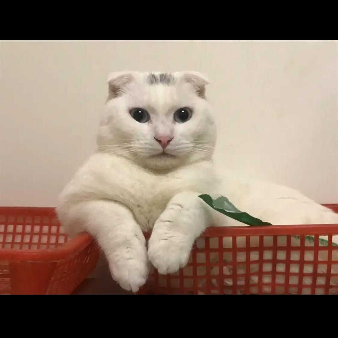 可口可乐：