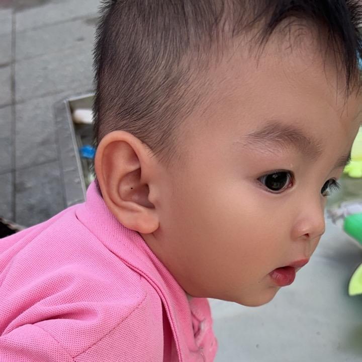启蒙教养