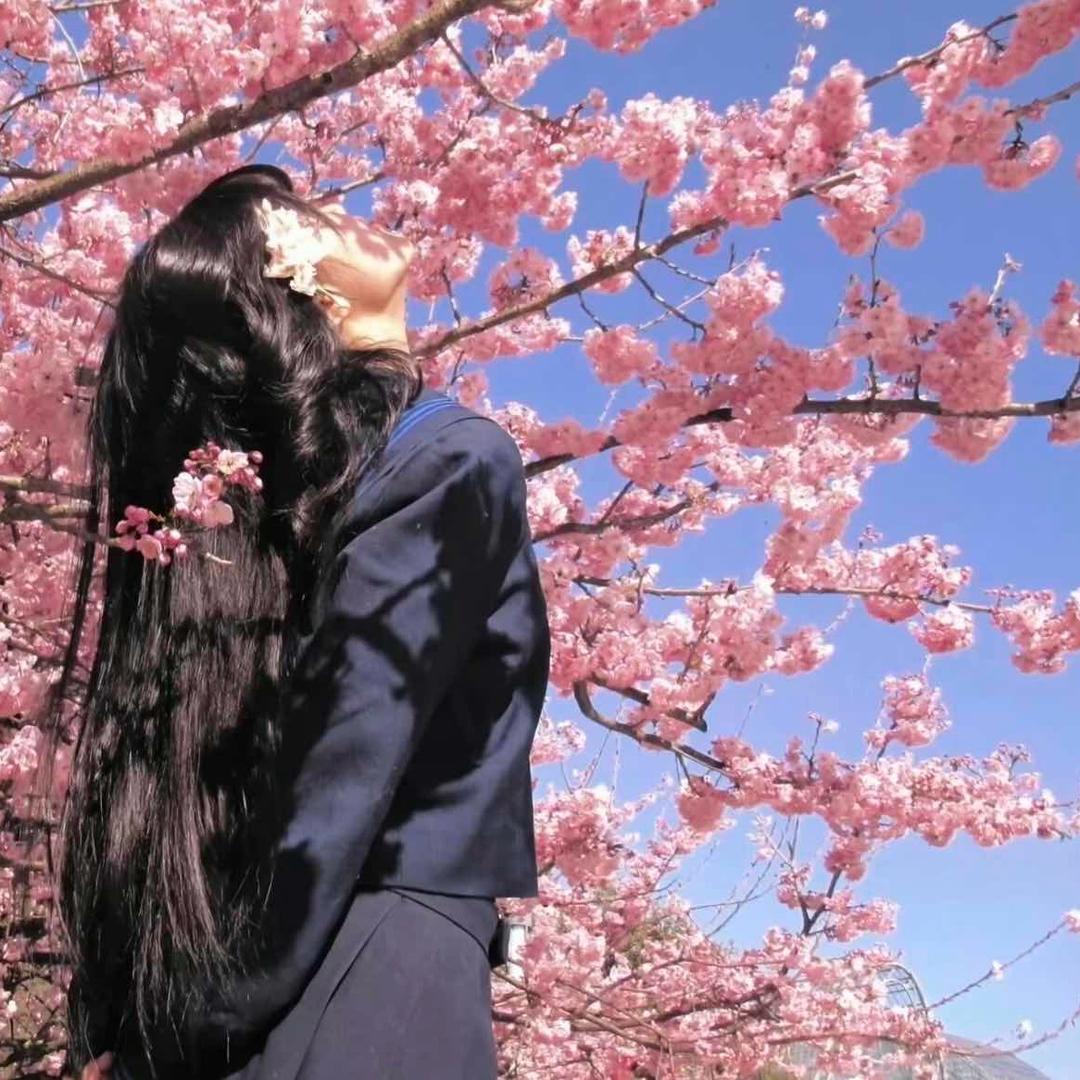 🌸