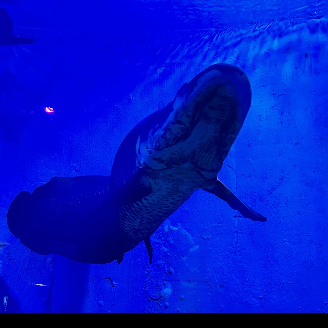 幸福是一人三餐四季