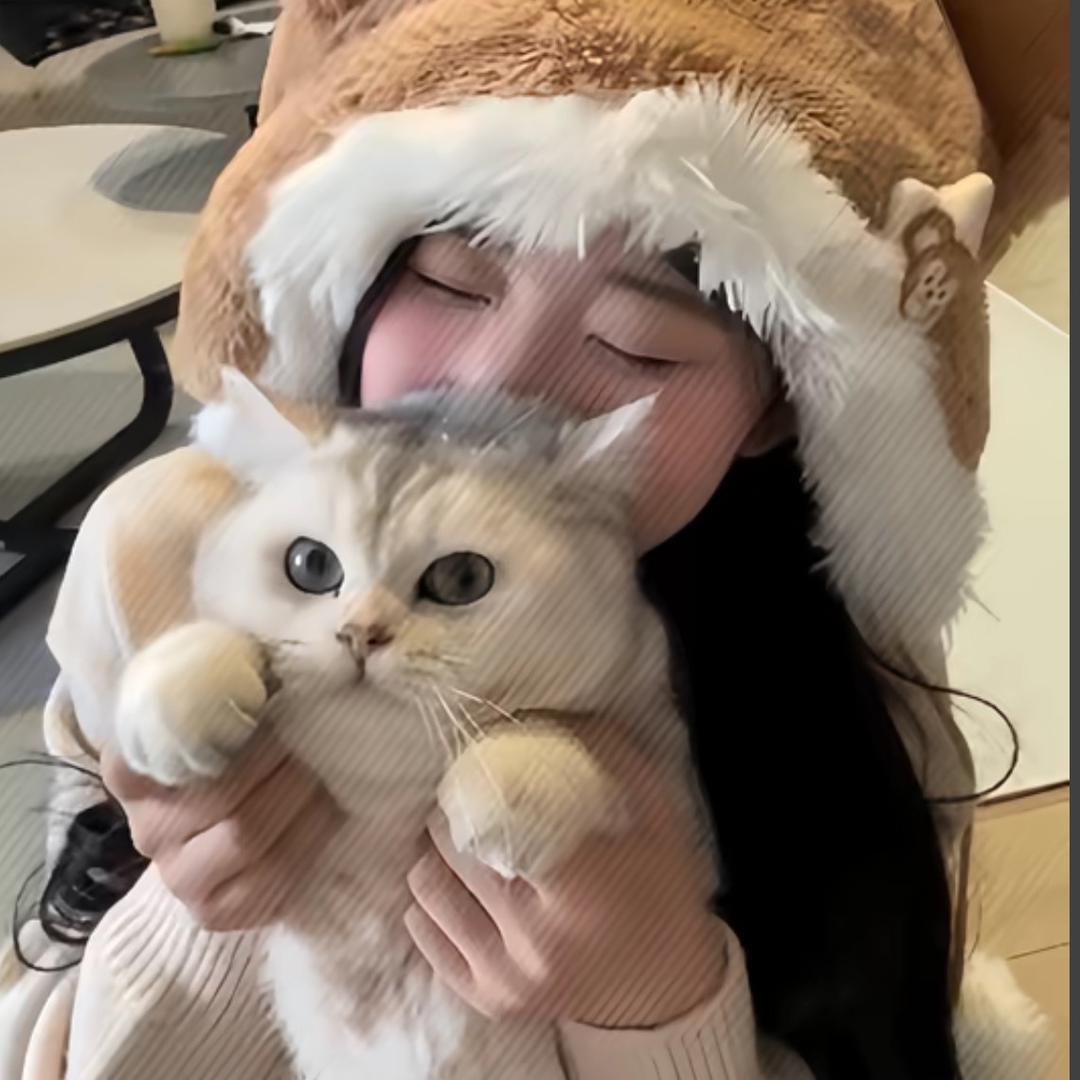 西红柿蛋拌饭🍳