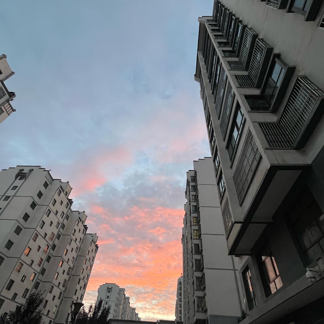王饭饭