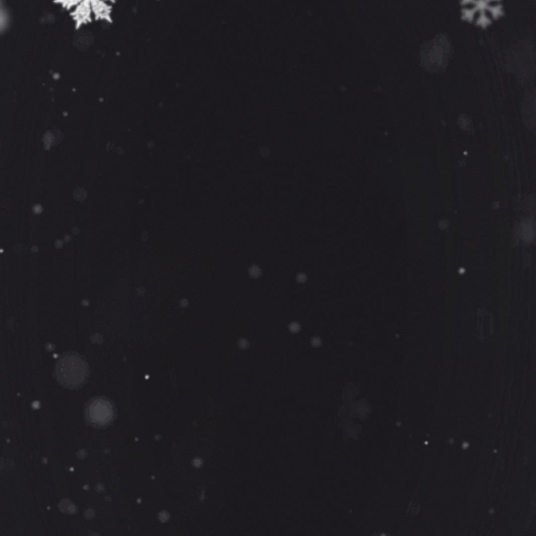 •。