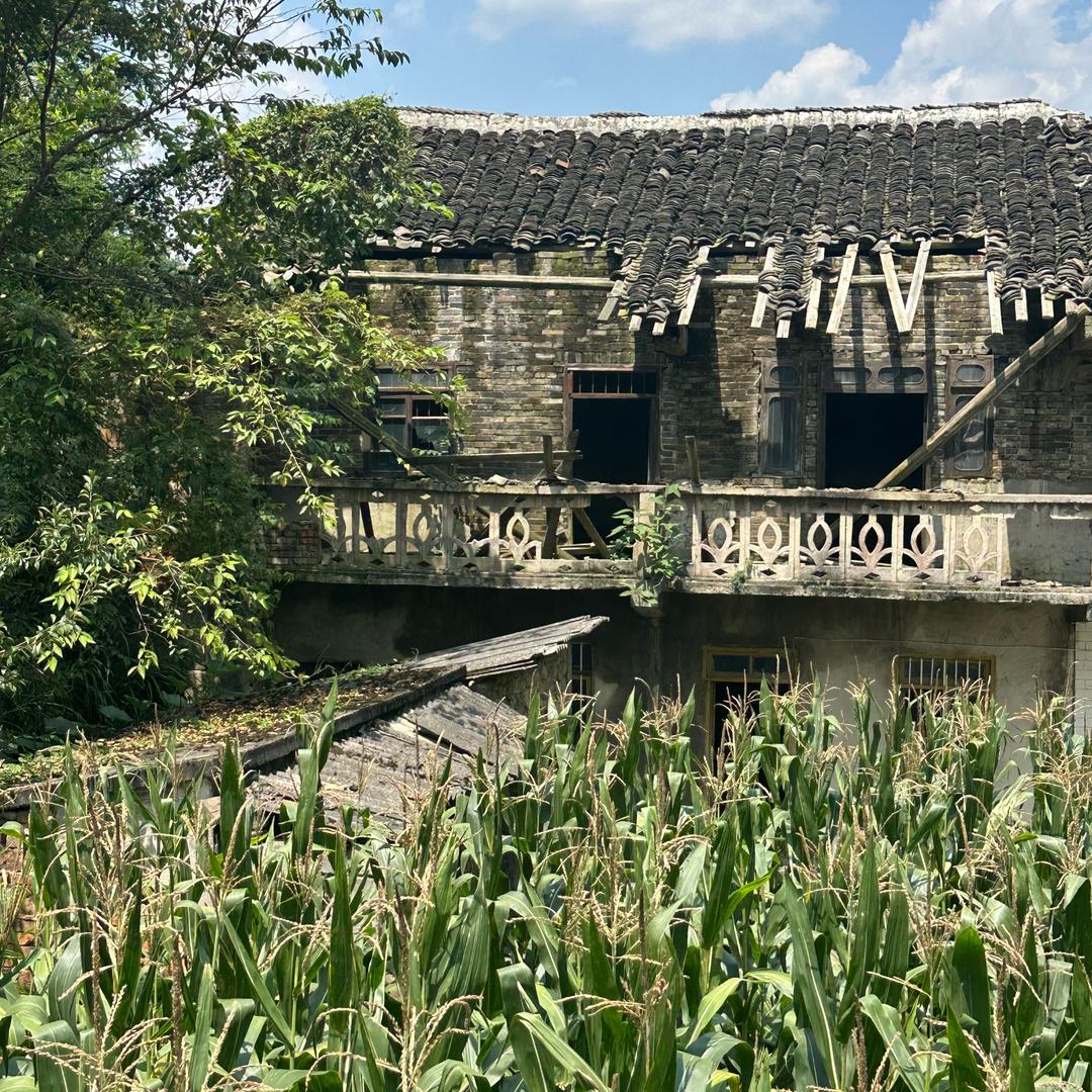 黄锅锅