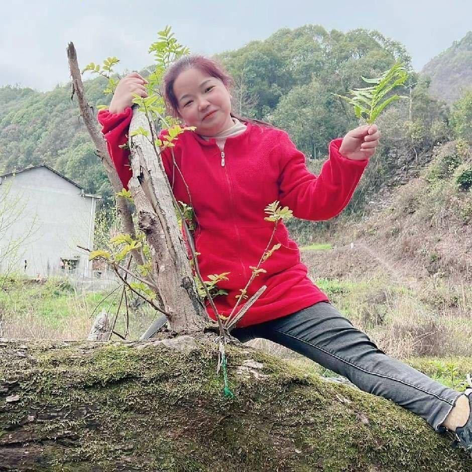 洞囗芬芬 (在洞囗包馄饨水饺)