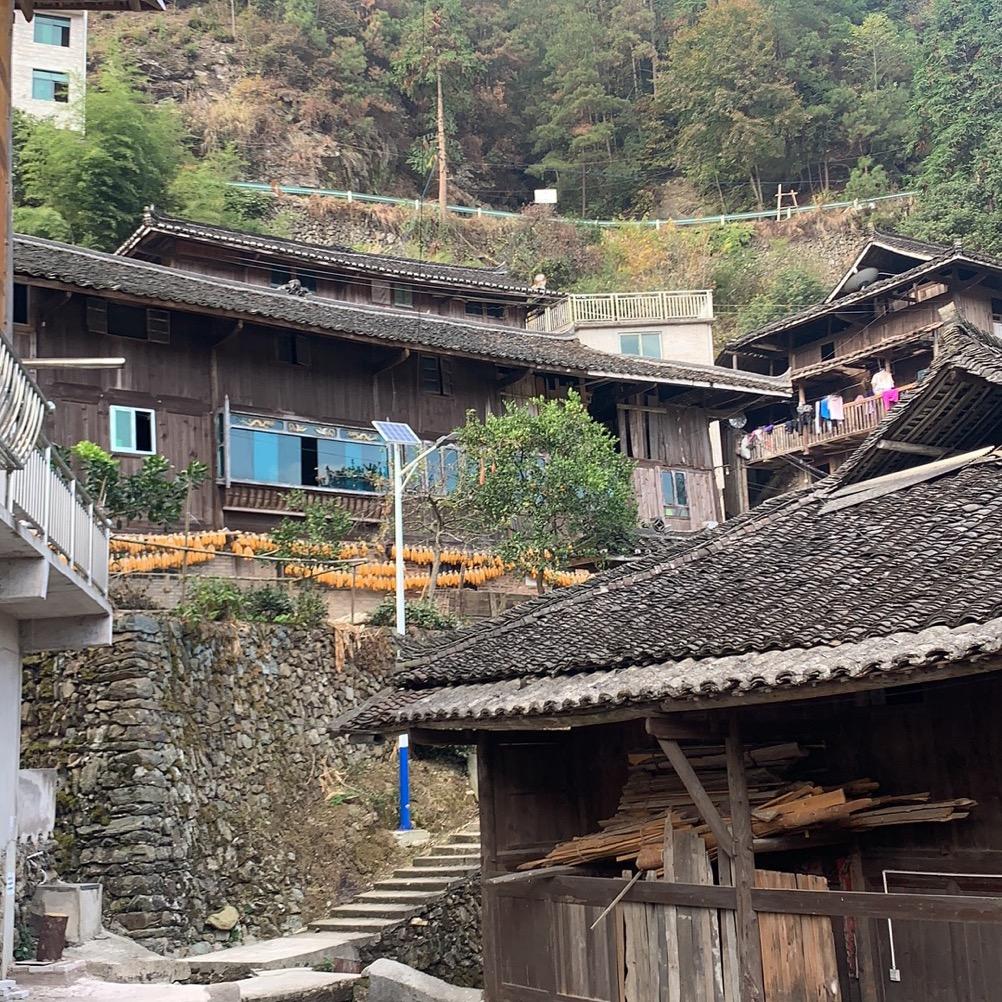 🫐🍅🏕️🍇🥦🏡🌈🥒