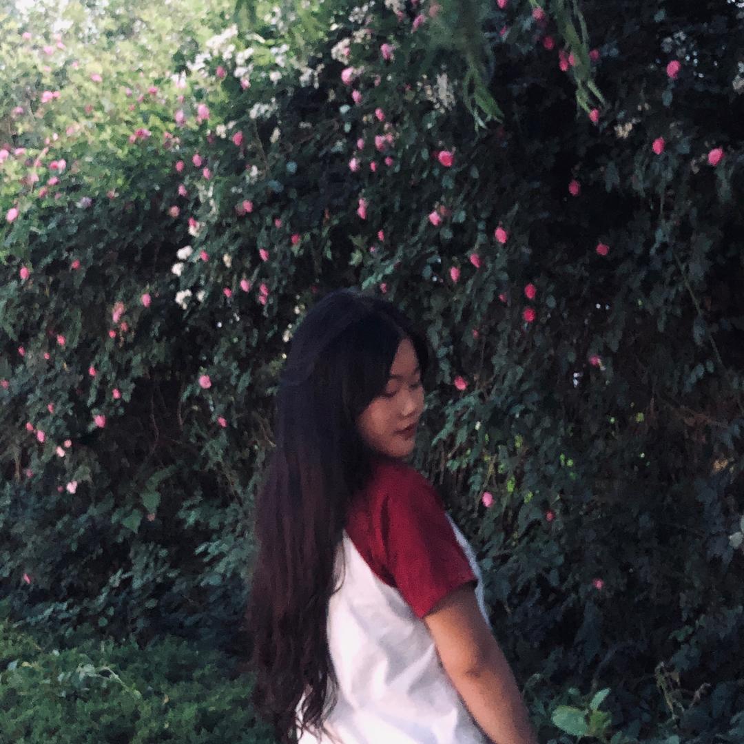 张张·