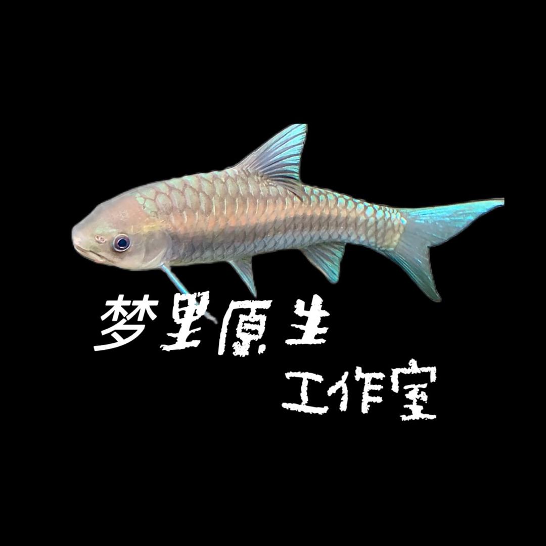 梦里原生