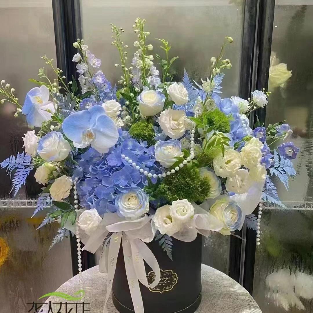 成人学历提升@盼盼老师