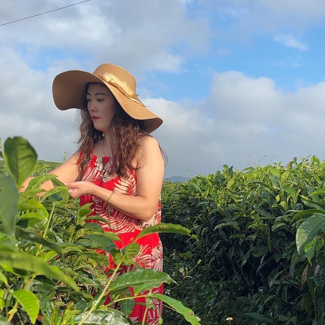 余生好好爱自己~莲