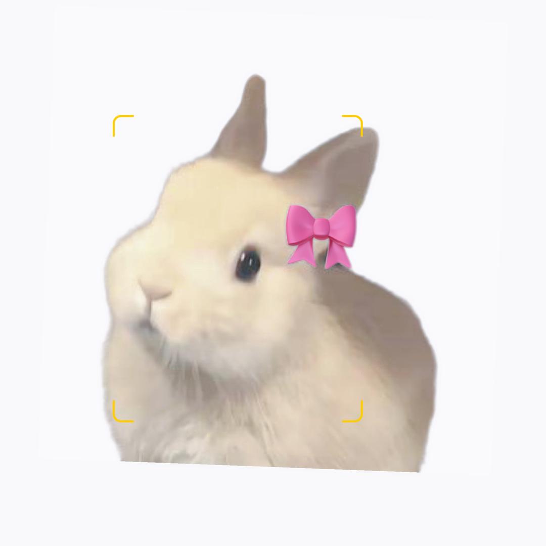 一口信