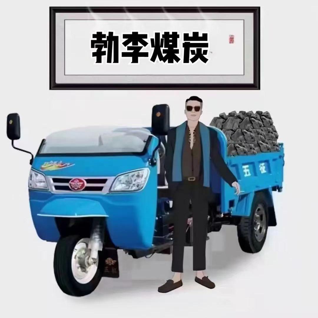勃李煤炭