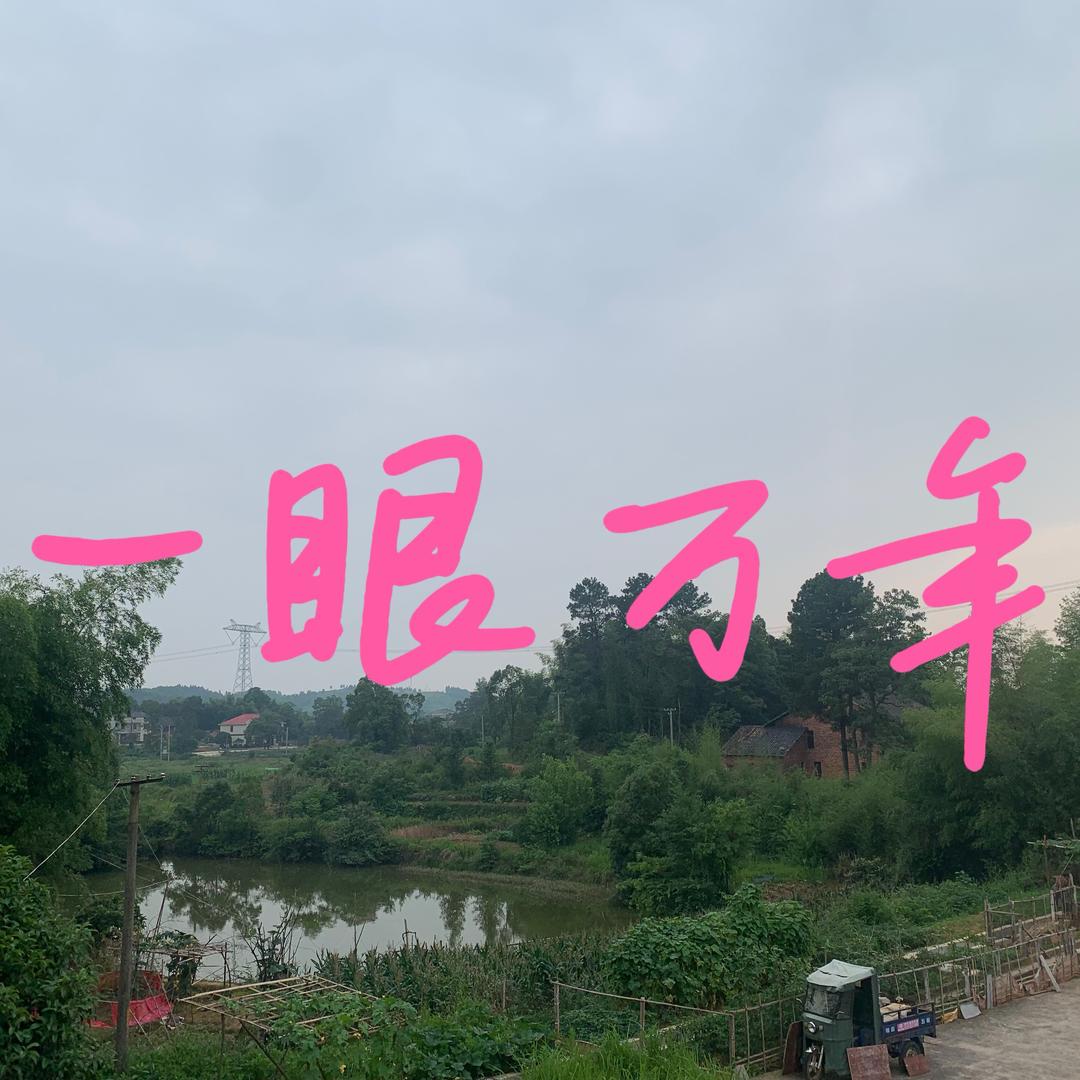 一眼万年i