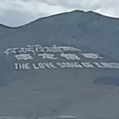 一个人自由自在