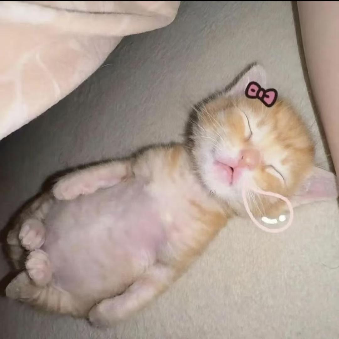我是周一