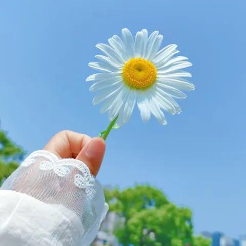 柒点捌 炭烤大油边