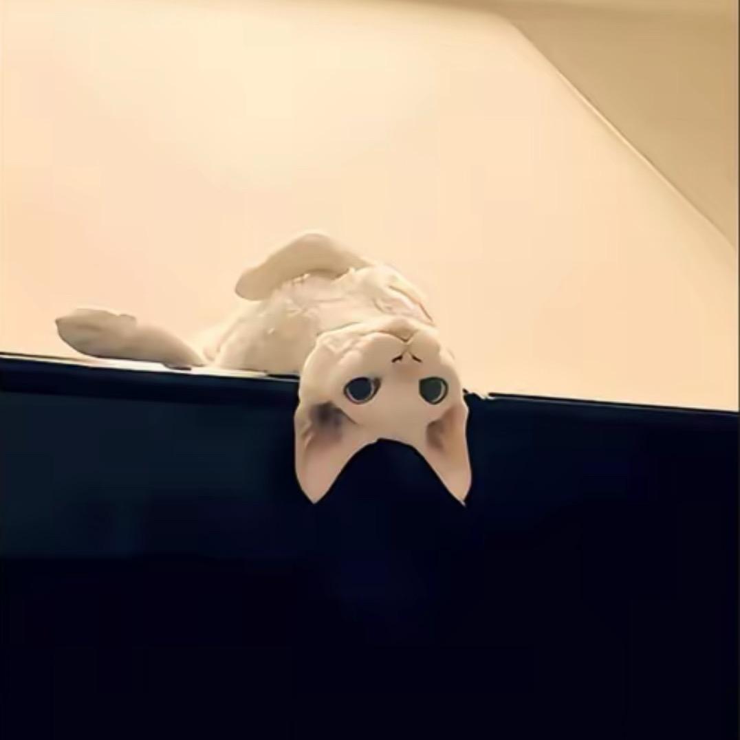 锁