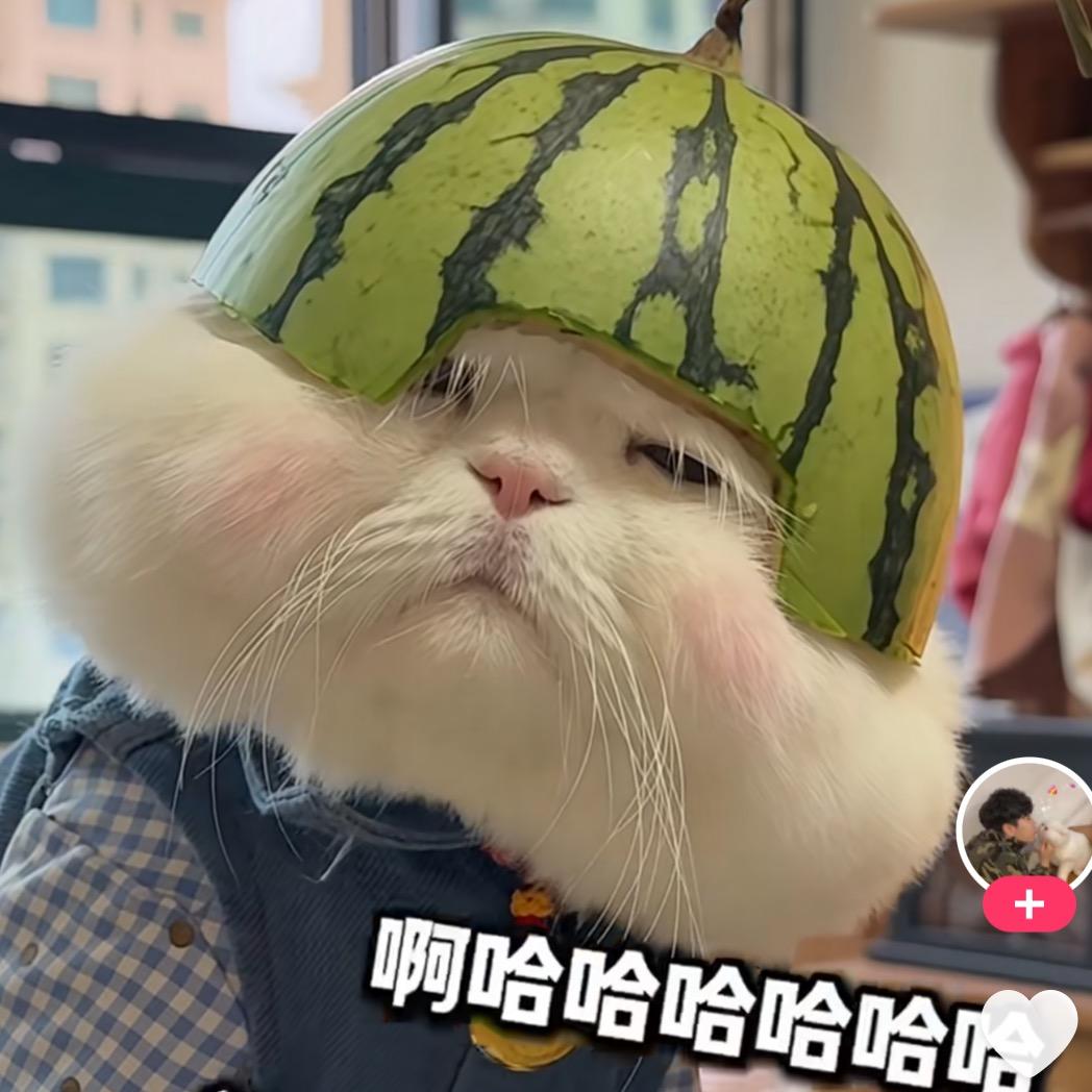 你尹姨吖！