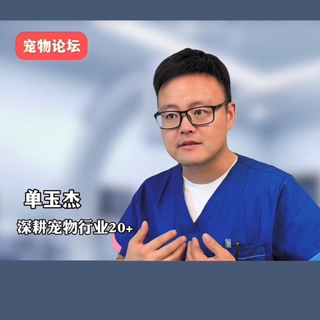 快乐的铲屎官