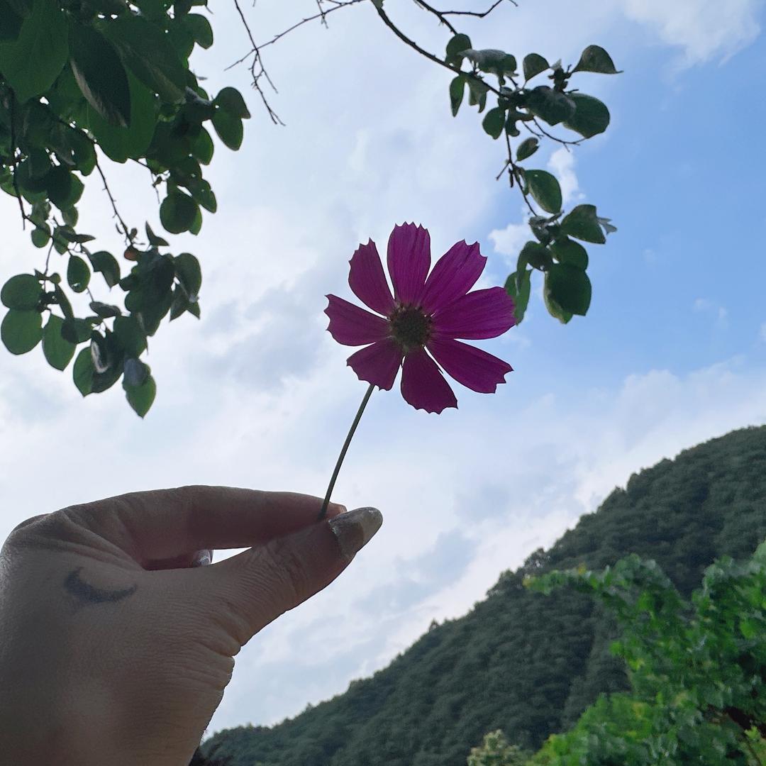 葉子🍃🍃