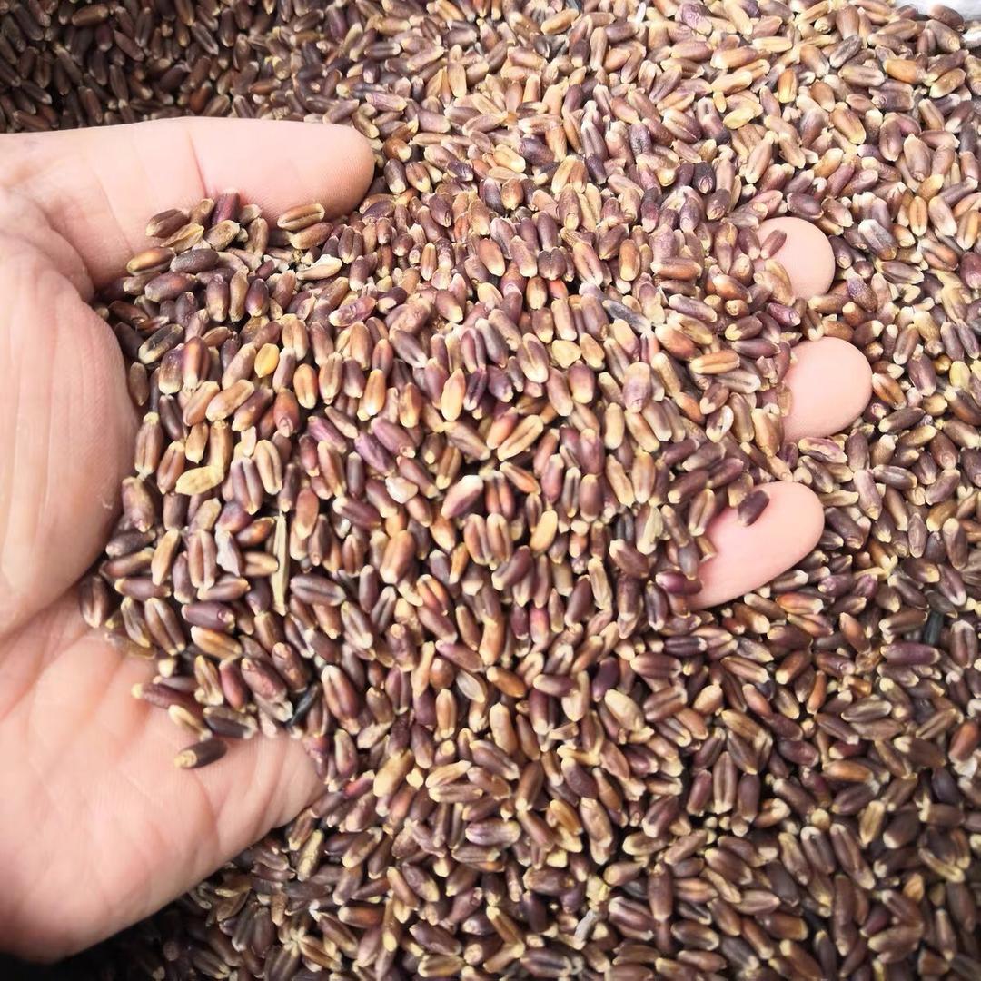 三河市福聚石磨面粉