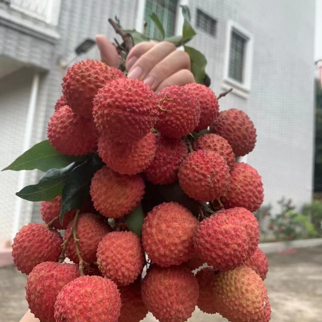甜果纪生鲜