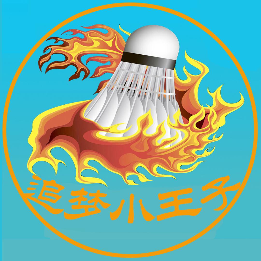 追梦小王子