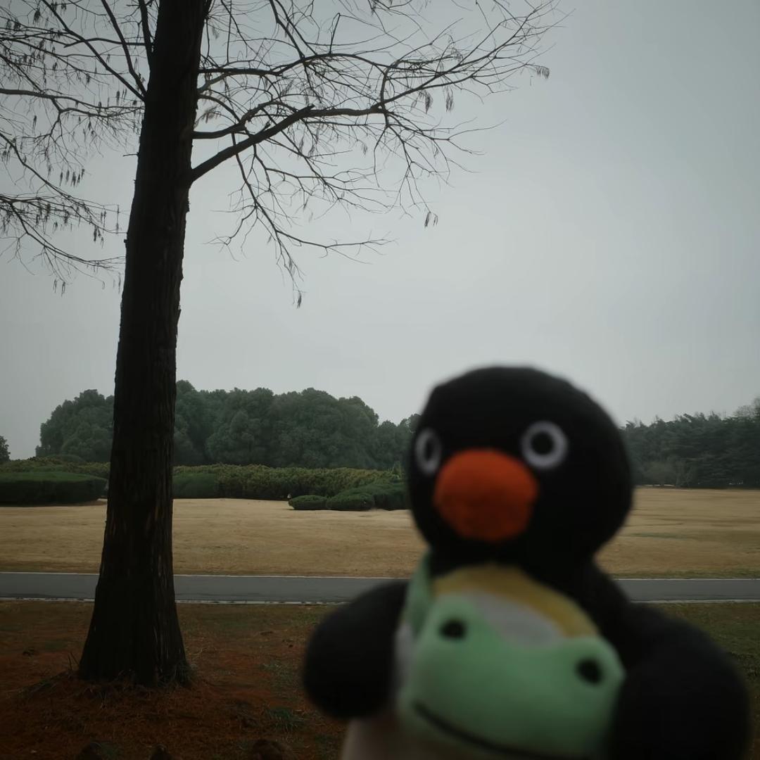 常遇春