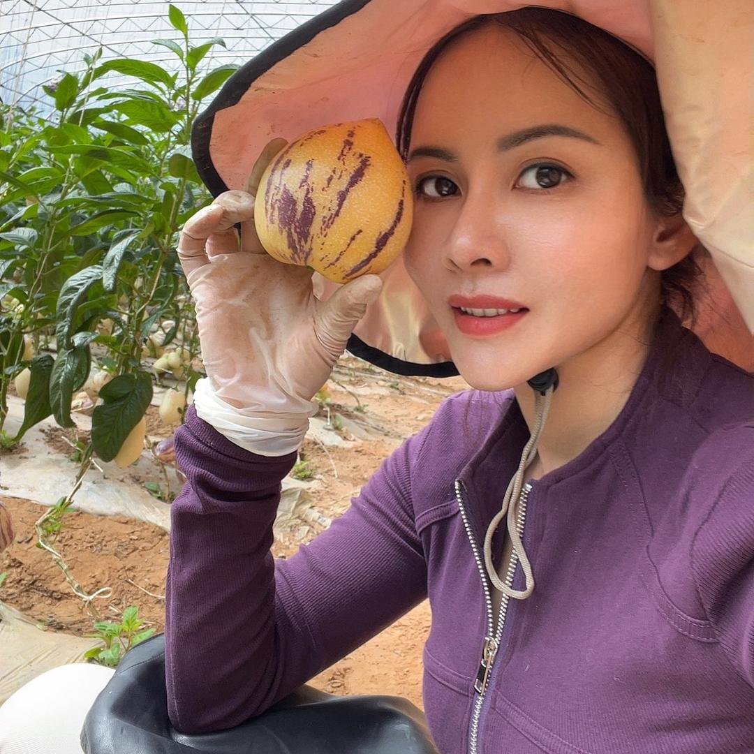 亭亭玉立（丽江润参农业.人参果育苗基地）