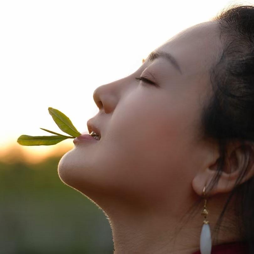李陈皮