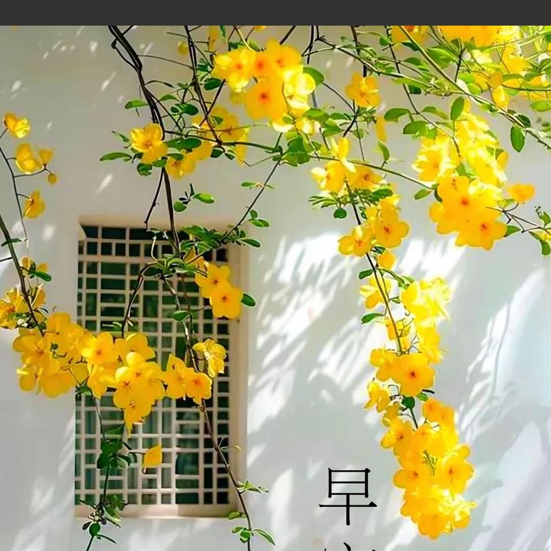 嘻嘻哈哈