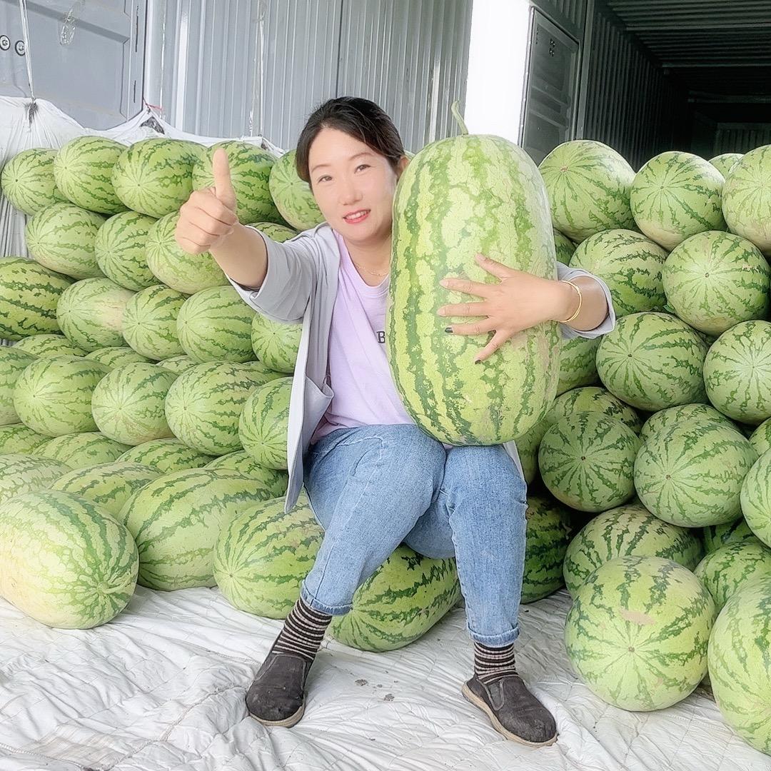 闪小闪 🤝