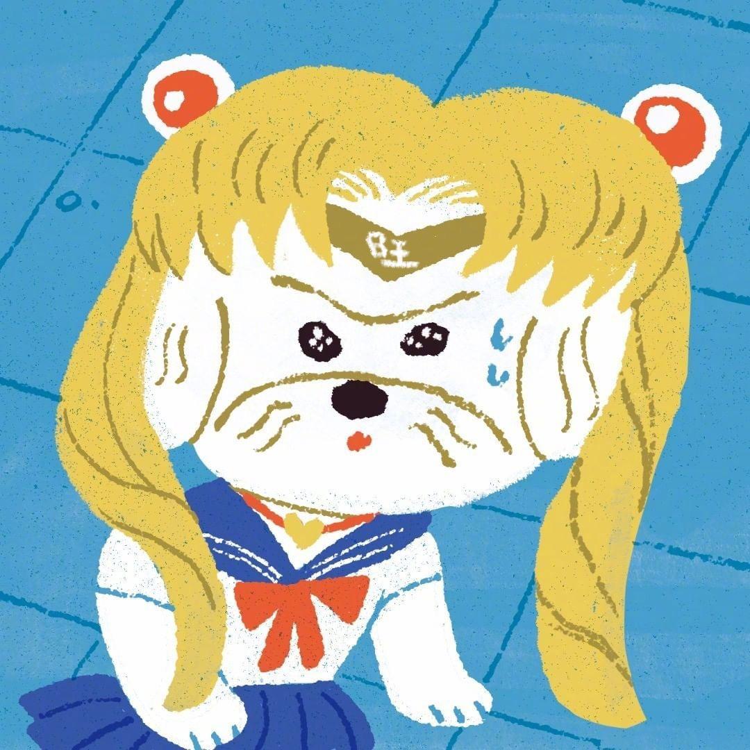 冤种胖狗