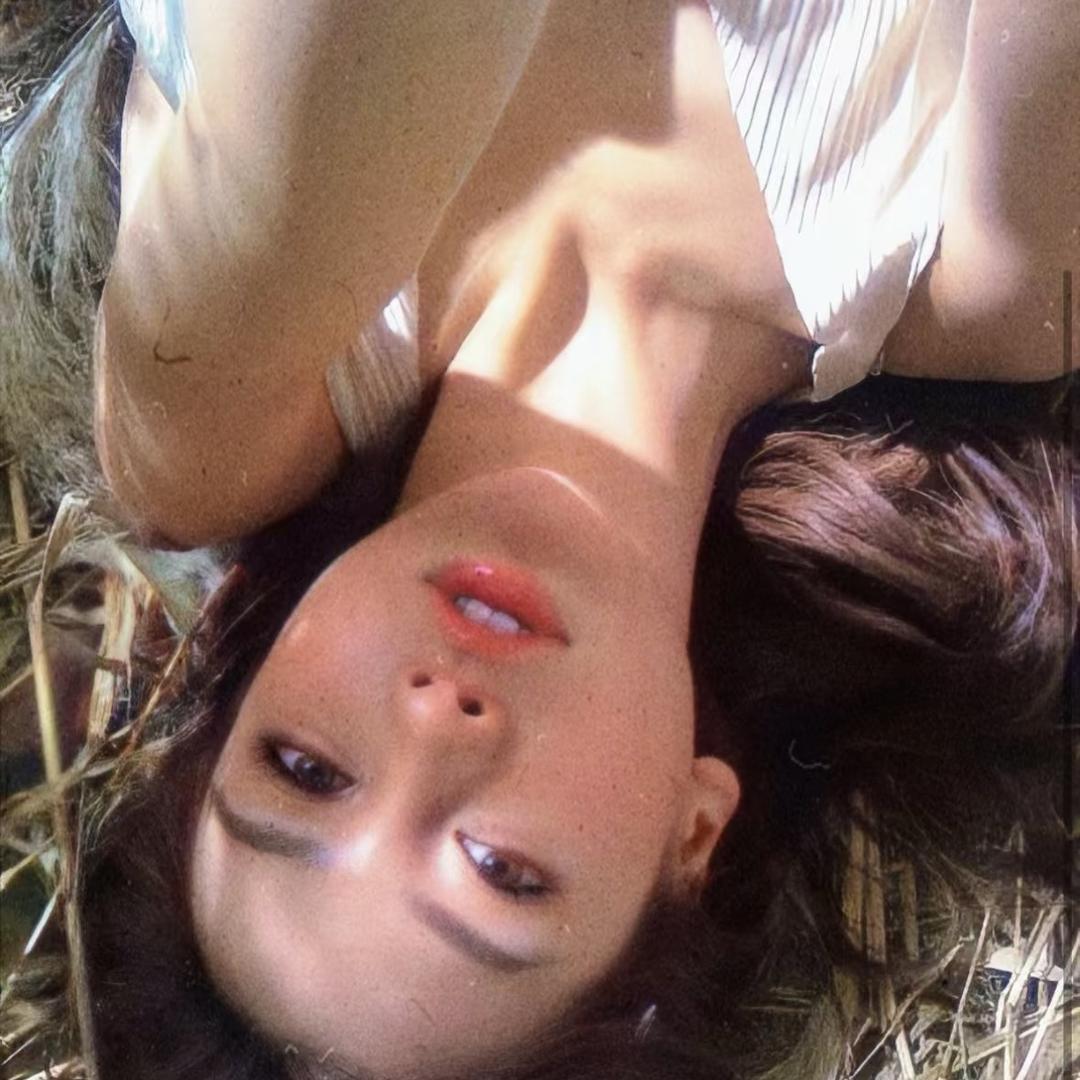 睡觉小象