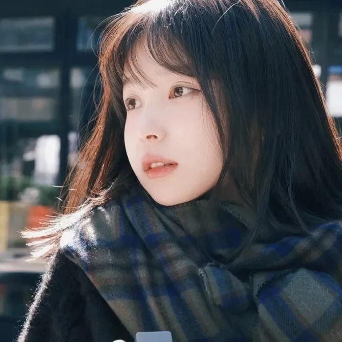 狮子好物
