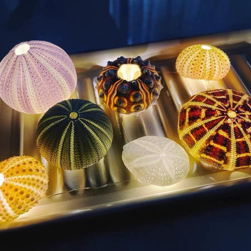 贝海拾趣好物集合店