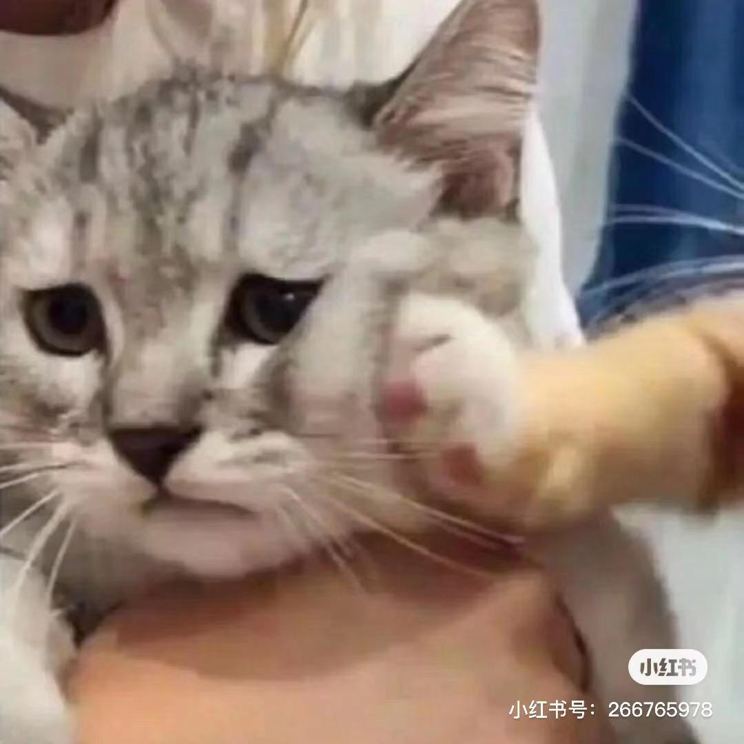 一个幸运儿
