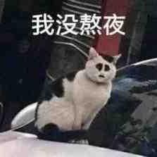 提莫（努力版）头像