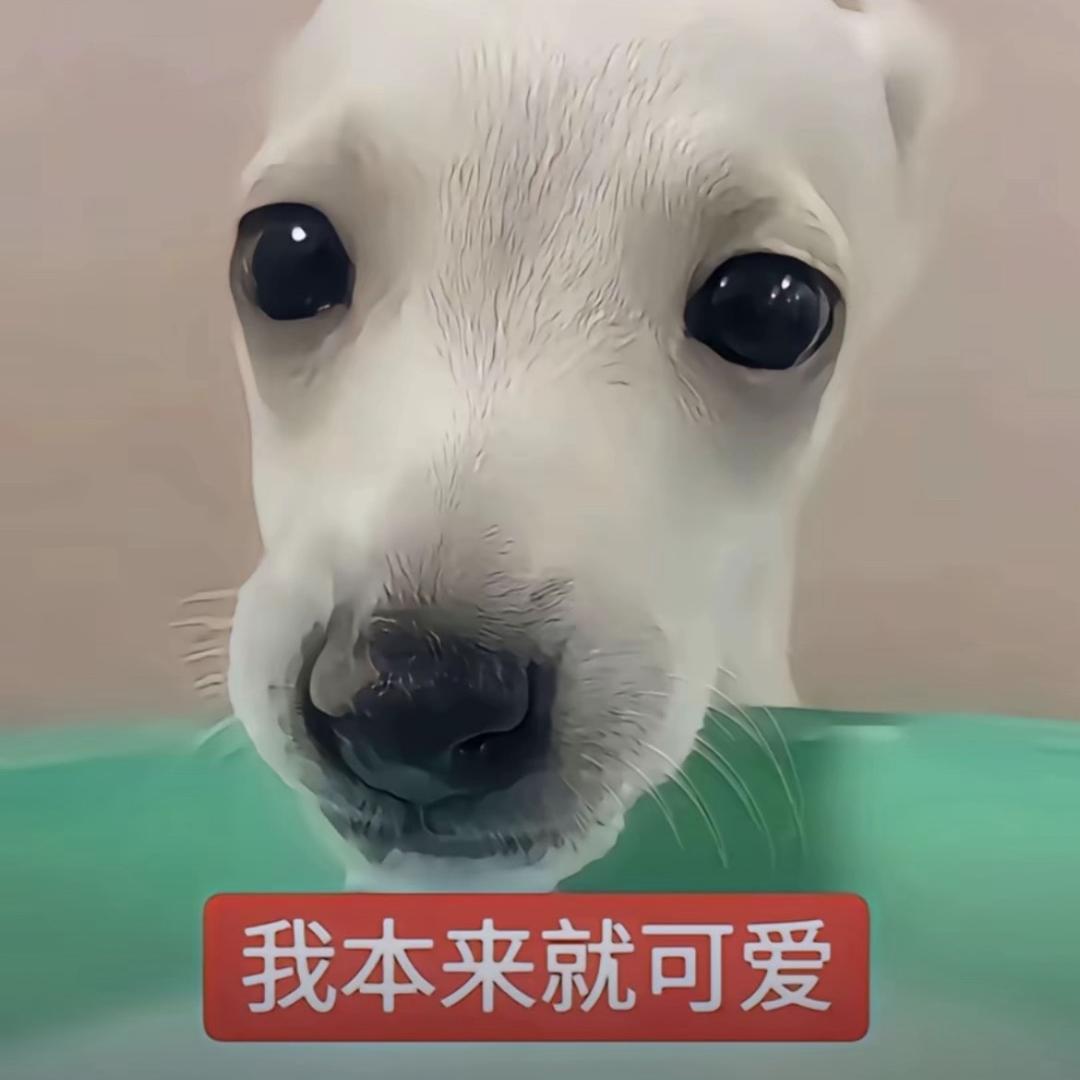 檀到旼炡啦