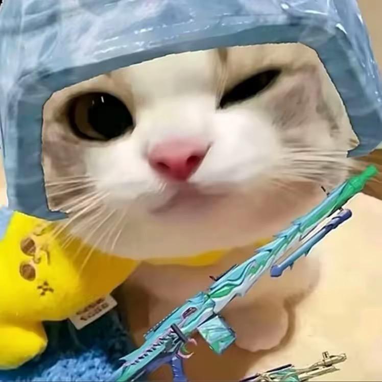 PM/.好笨