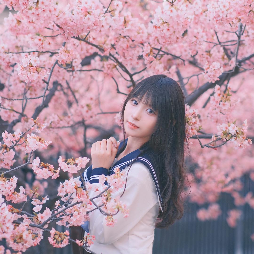 茄子酱i